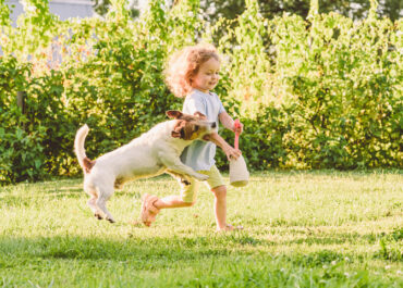 Los Angeles Dog Bite Attorney - Scarring - Injury
