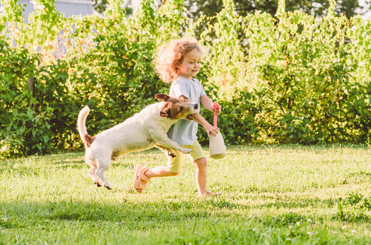 Dog Bite Scarring in Irvine and Orange County California - Injury